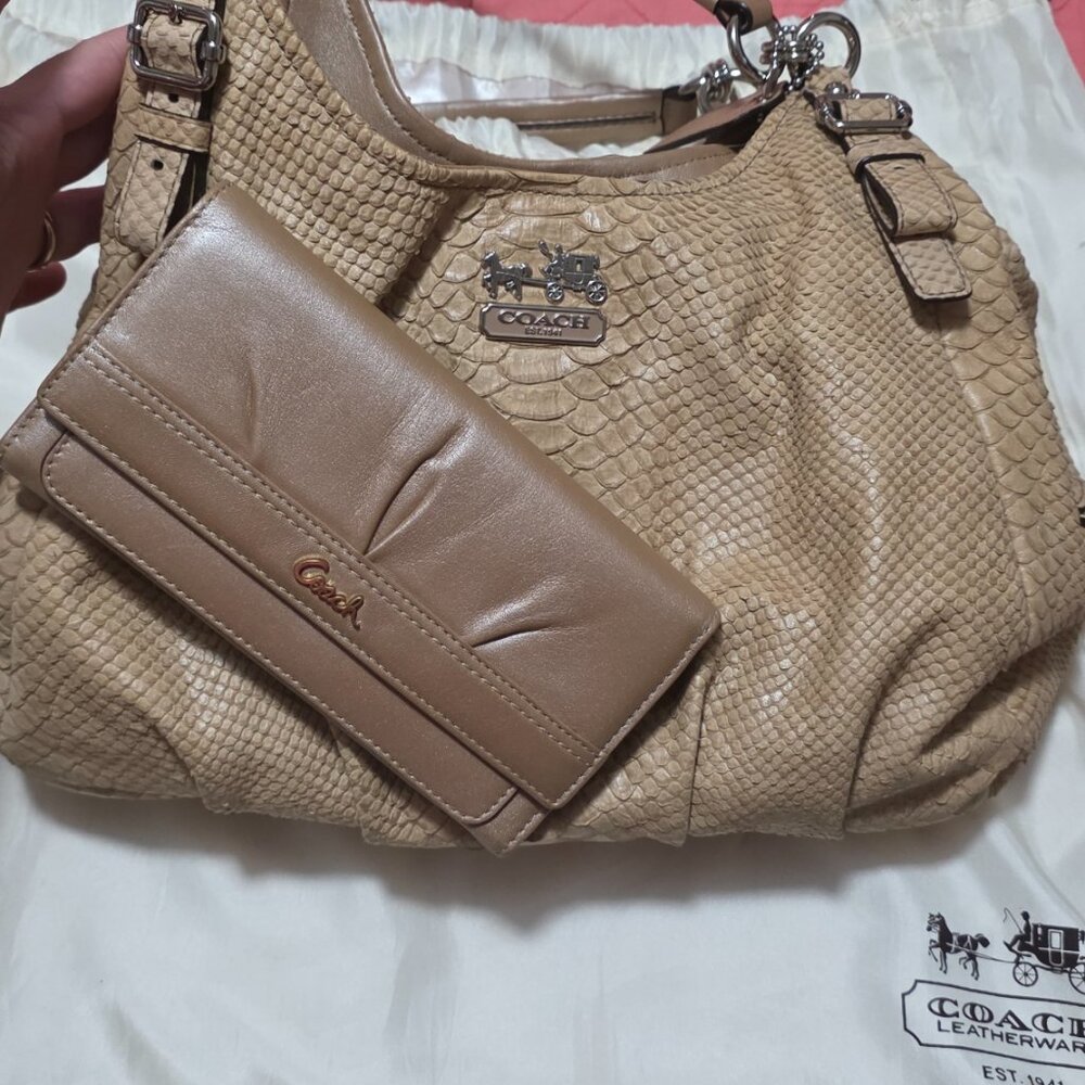 Maddison Embossed Maggie Python Coach bag - Picture 16 of 16